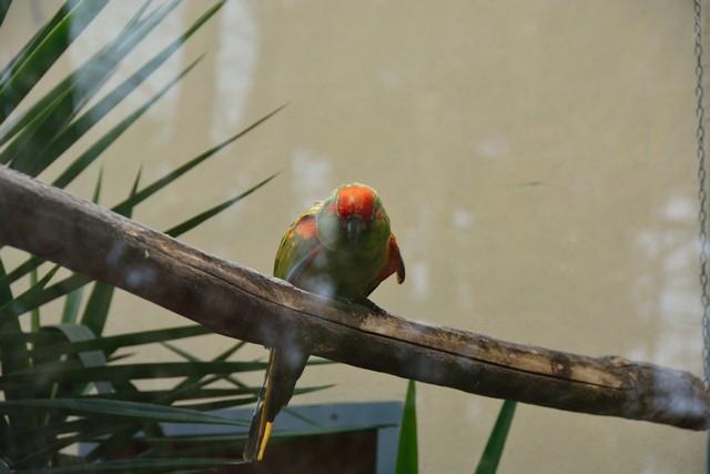 20150326 - Rome - 248